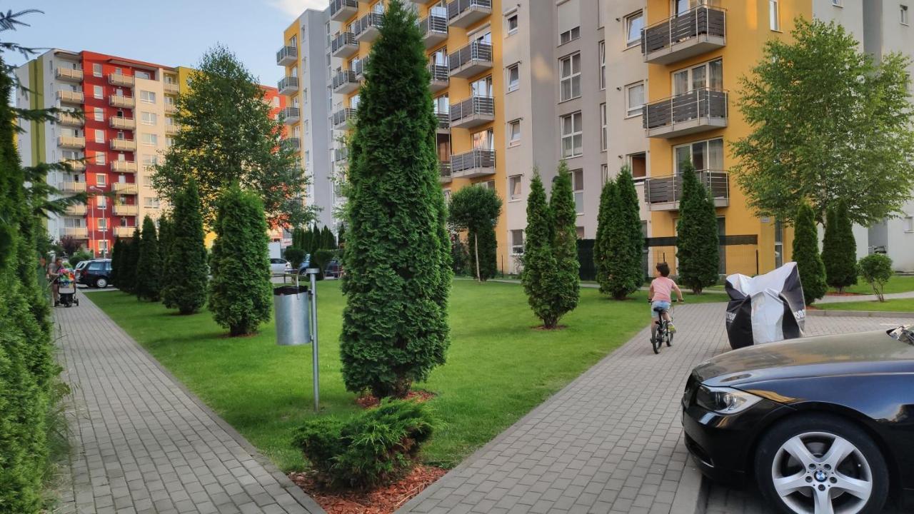 Brasov Kronstadt Garden Studio Exterior photo